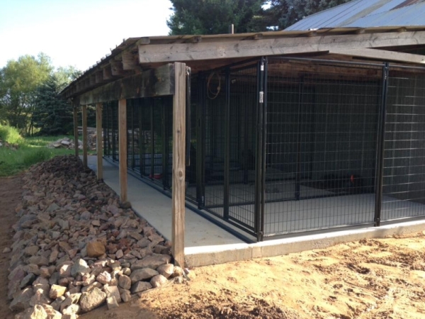 Hunting dog hot sale outdoor kennels